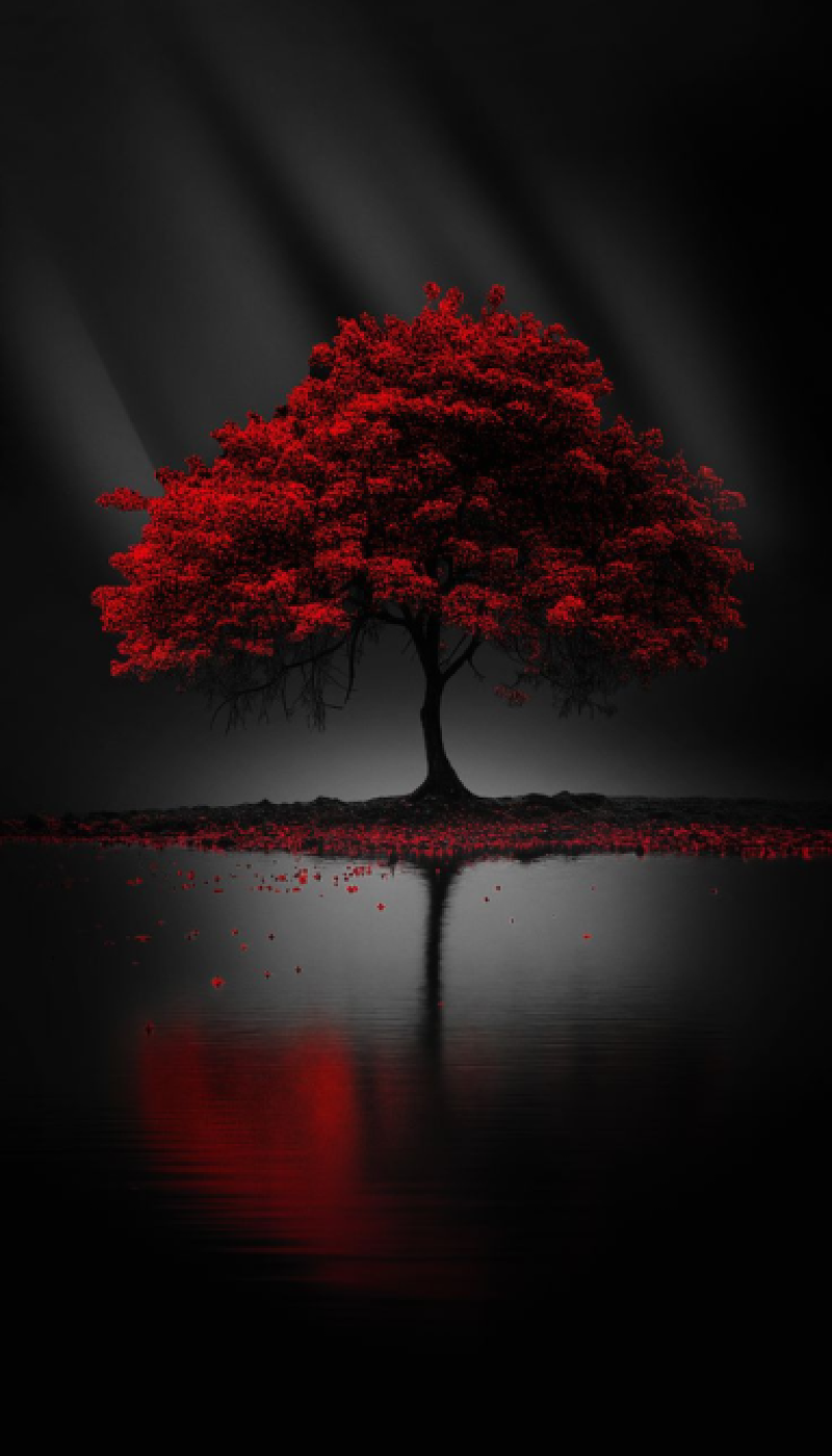 The Crimson Guardian